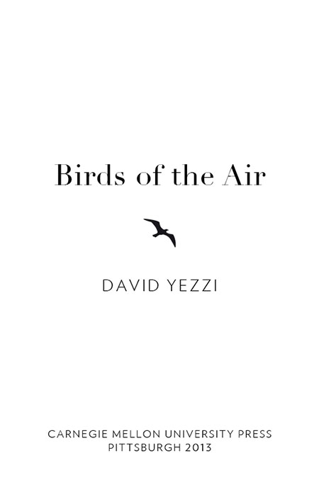 Birds of the Air